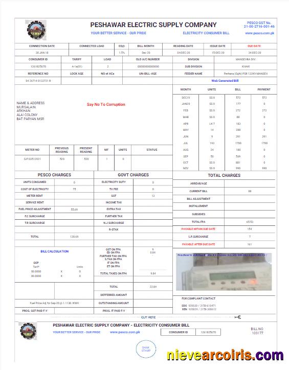PAKISTAN PESHAWAR ELECTRIC SUPPLY COMPANY utility bill